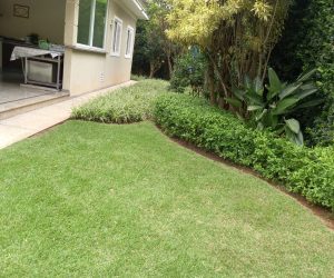 77127cd6-9933-45f4-b656-ad8093d28dd1