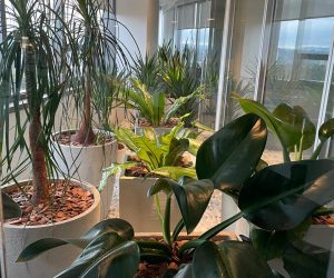 WhatsApp Image 2024-09-04 at 14.52.24