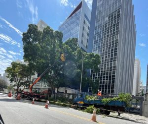 WhatsApp Image 2024-09-04 at 14.52.47